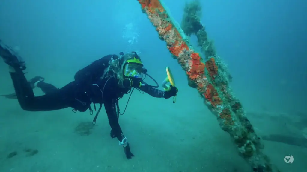 A diver is scuba diving near a shipwreck.