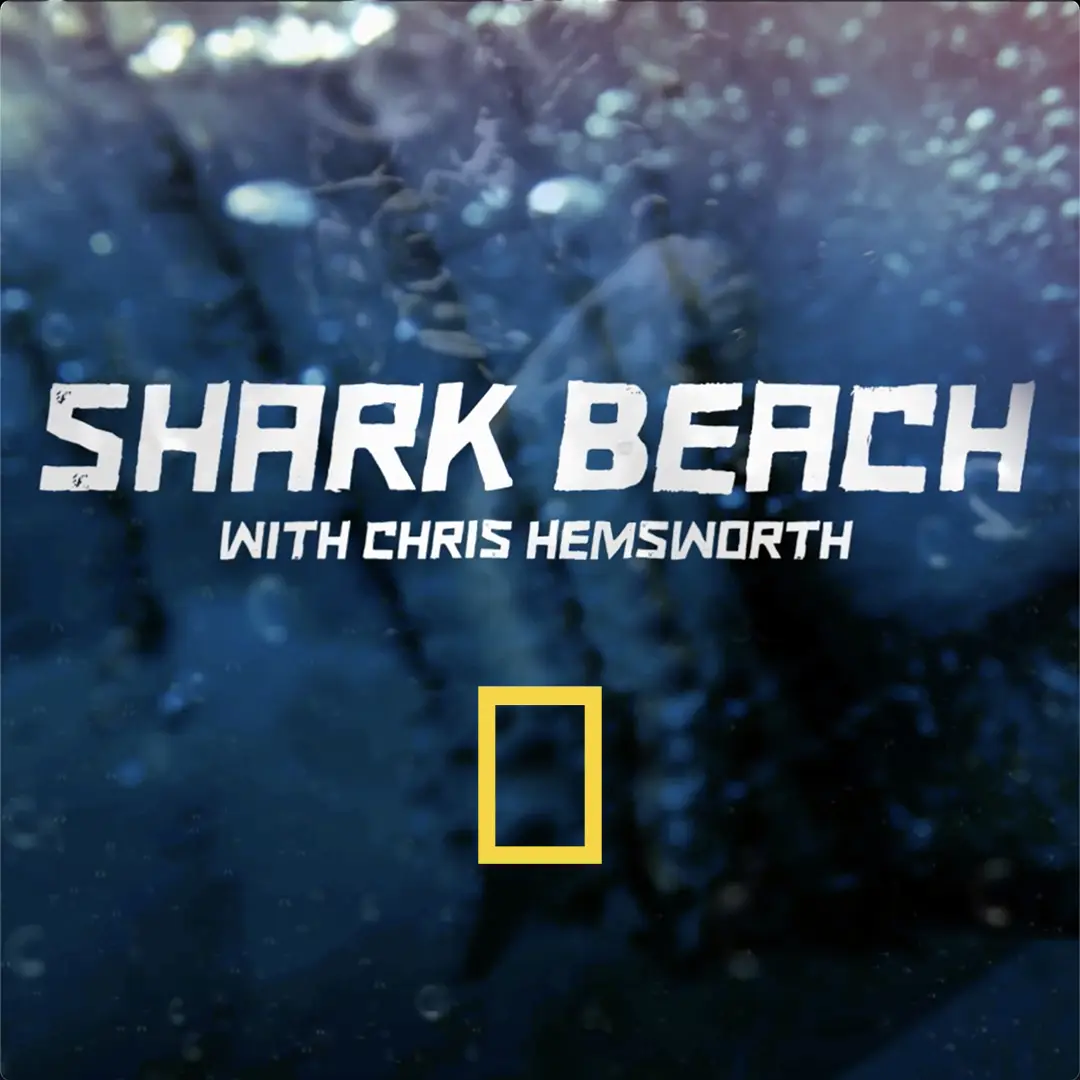 Shark beach with Chris Hemsworth shared on social media.