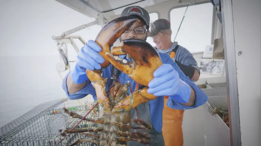 A man is holding a lobster on a boat near Clearwater Marine Aquarium.