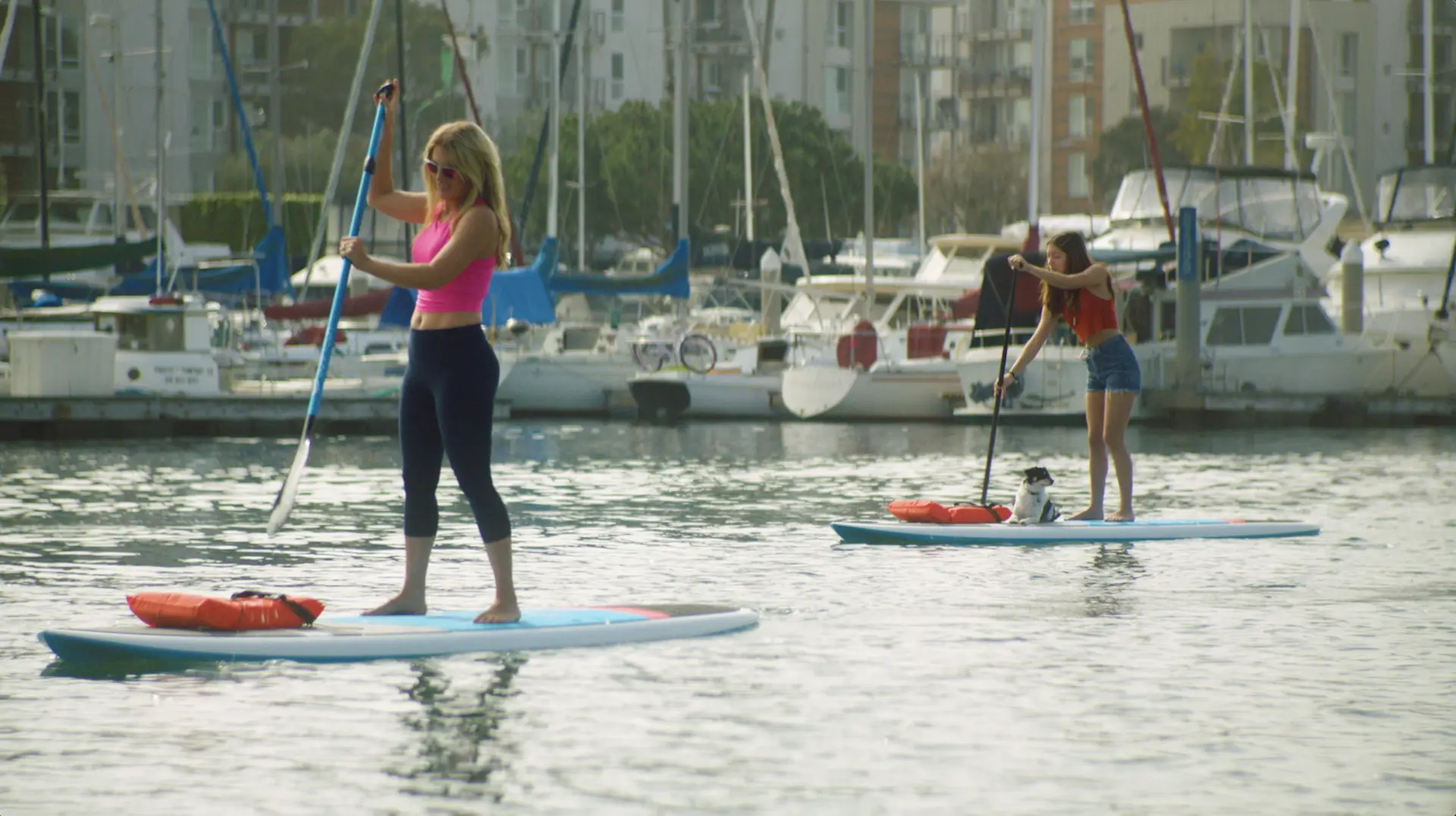 Two women stand up paddle boarding in a marina, sharing stories.