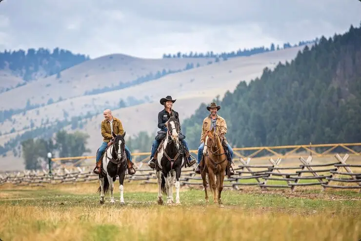 Three cowboys riding horses in a branded work field, LIVE 2023.