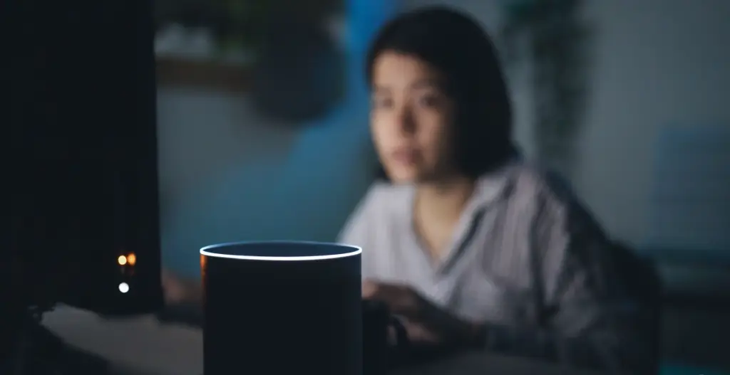 A woman is sitting at a desk in front of an Echo Dot, working on digital signatures (Sig files).