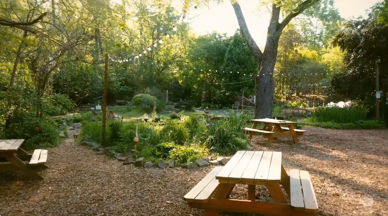 A serene garden with wooden picnic tables, a pond, lush trees, and string lights, illuminated by soft sunlight filtering through the foliage of the sales content library.